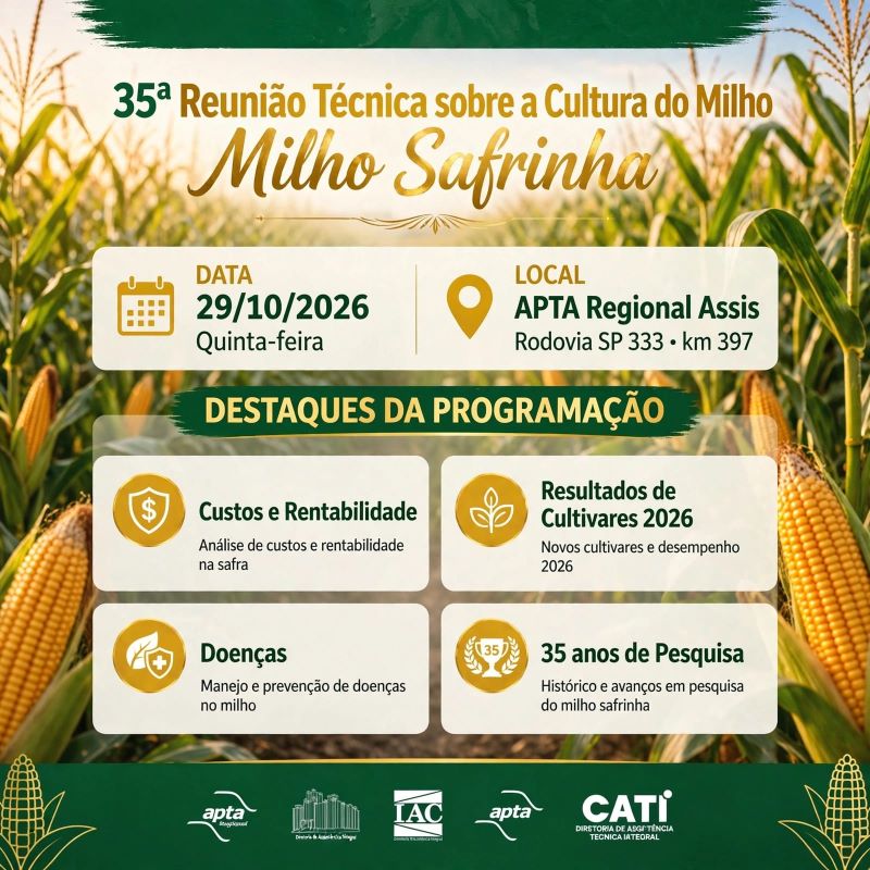 milho-102057-06e736