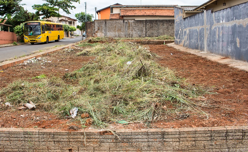 Proprietários são responsáveis pela limpeza de seus terrenos