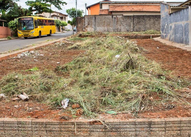 Prefeitura intensifica campanha ‘Assis legal sem matagal’