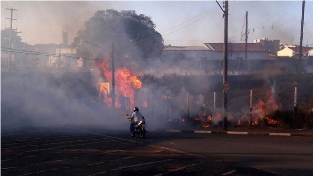 Incêndio em mata perto do túnel assusta motoristas e pedestres