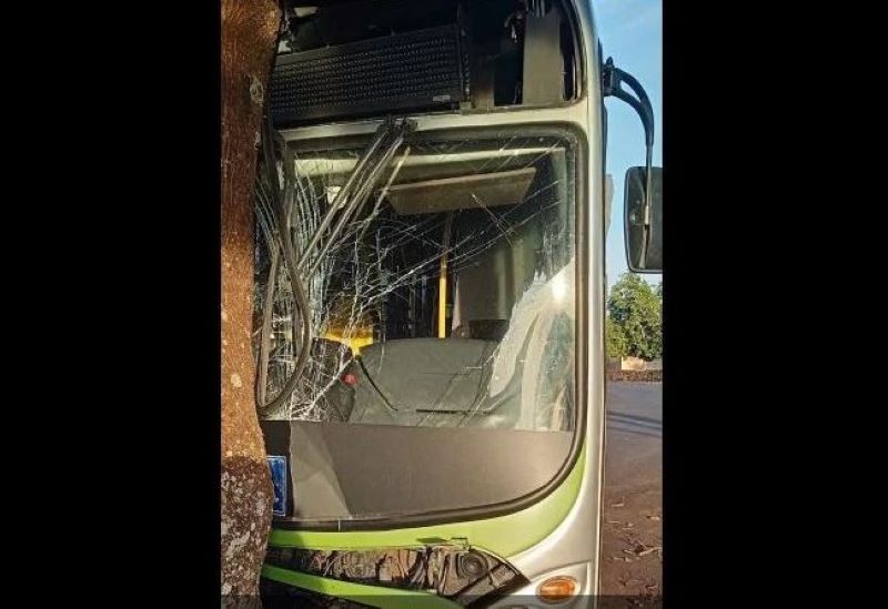 Ônibus da Guerino Seiscento bate em árvore em Palmital