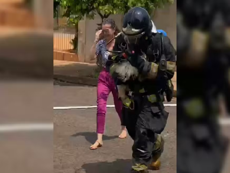 Corpo de Bombeiros resgata poodle durante incêndio em Paraguaçu Paulista