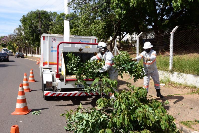 Focada na segurança da rede elétrica, Energisa Sul-Sudeste reforça a importância das podas de árvore