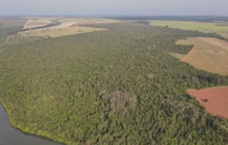 Consema amplia áreas de preservação florestal de Assis em mais de 300 hectares