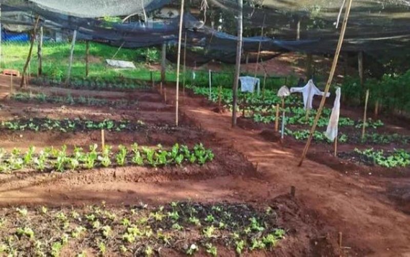 Assistência Social implanta horta comunitária para pessoas em situação de rua