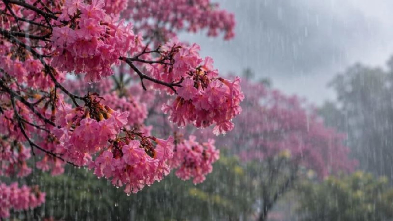 Primavera começa com chuva e possibilidade de temporal em Assis